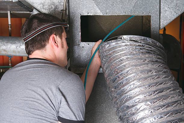 Best Air Duct Mold Removal  in Charles Town, WV